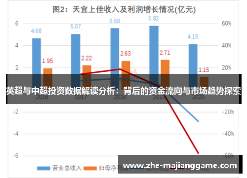 英超与中超投资数据解读分析：背后的资金流向与市场趋势探索