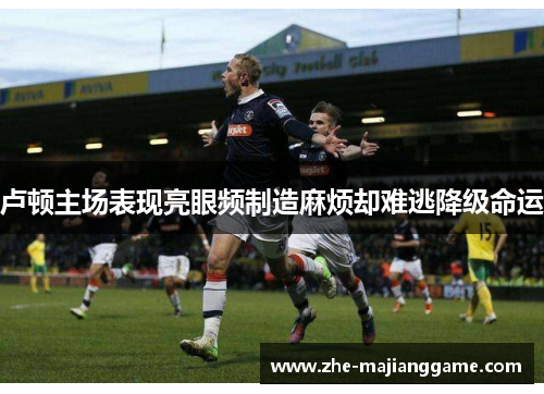 卢顿主场表现亮眼频制造麻烦却难逃降级命运