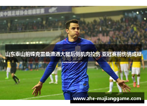 山东泰山前锋克雷桑遭遇大腿后侧肌肉拉伤 亚冠赛前伤情成疑